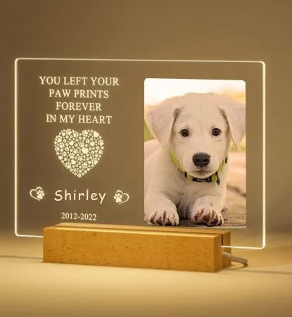 In Loving Pet Memorial Light – Custom Photo & Name LED Lamp for Dogs and Cats