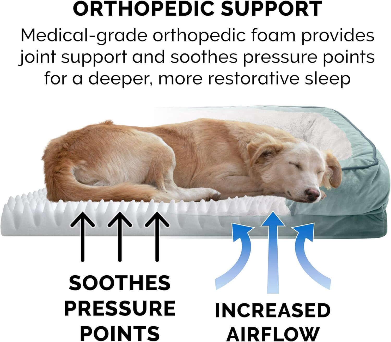 Furhaven Orthopedic Dog Bed for Small Dogs - Plush Velvet Sofa with Removable Bolsters & Washable Cover, Ideal for Pets up to 20 lbs - Celadon Green