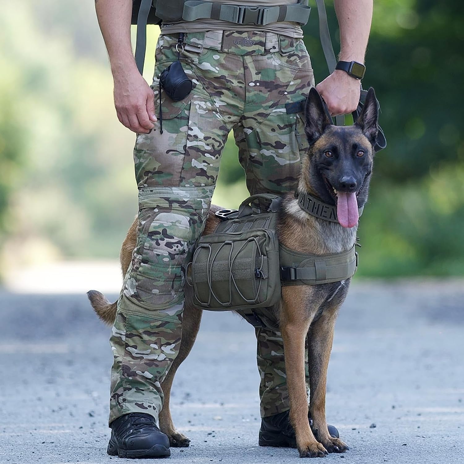 Onetigris Tactical Dog Backpack - Heavy-Duty Nylon Pack for Medium & Large Dogs with Side Pockets for Hiking, Walking, and Training (Green, Large)