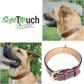 Premium Genuine Leather Dog Collar - Luxurious Padded Design, Large Brown, 24