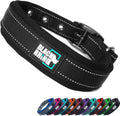 Ultra Soft Black Rhino Heavy Duty Reflective Dog Collar for Medium Breeds - Adjustable, Weatherproof & Lightweight Comfort in Stylish Purple/Black