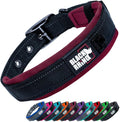 Ultra Soft Black Rhino Heavy Duty Reflective Dog Collar for Medium Breeds - Adjustable, Weatherproof & Lightweight Comfort in Stylish Purple/Black