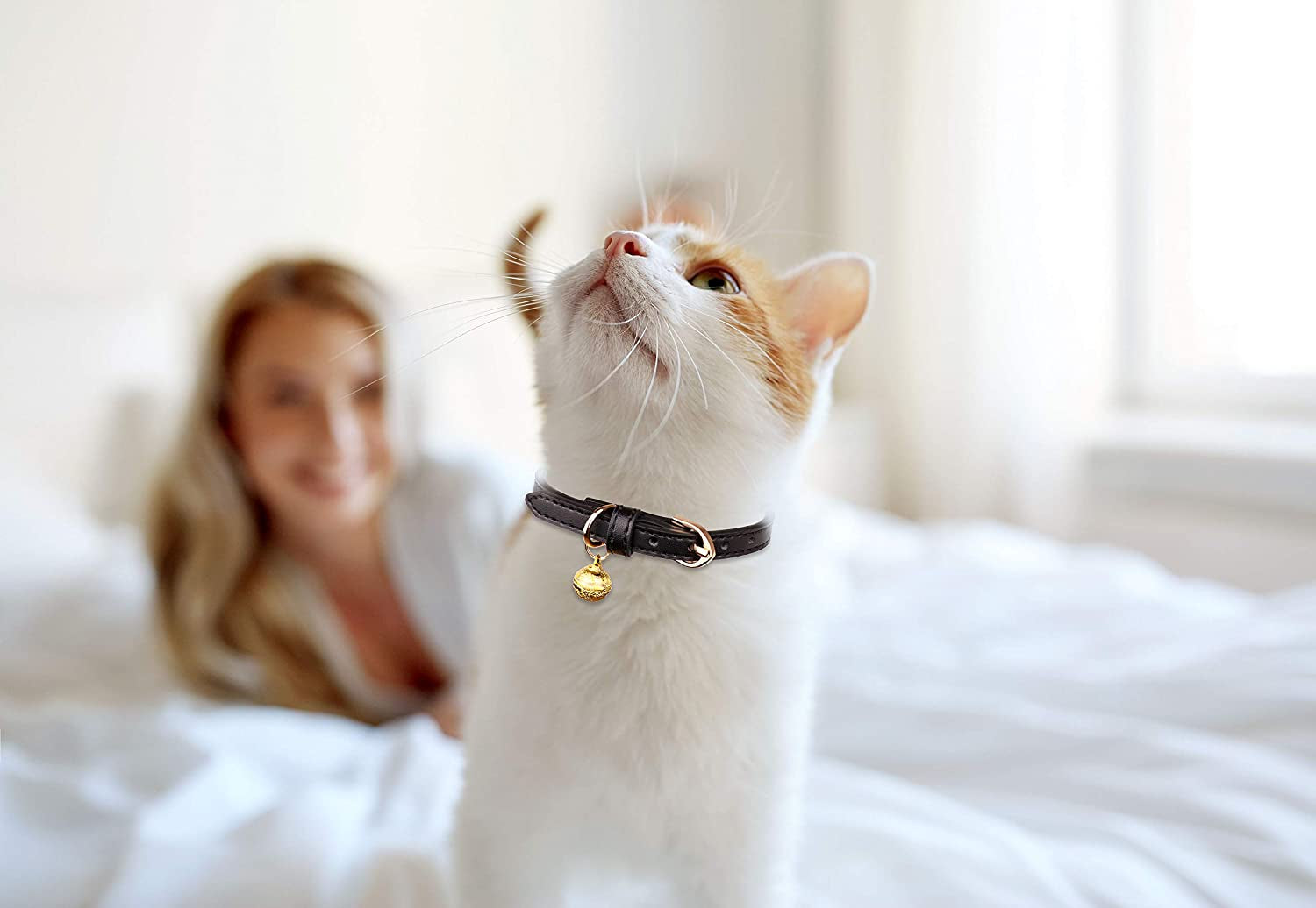 Chic 3-Pack Leather Cat Collars with Bells - Soft & Safe XS Kitten Collars in Black, Chocolate, and Beige