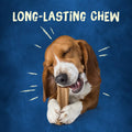 Purina Busy Bone Chewy Pork Flavor Dog Treats