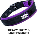 Ultra Soft Black Rhino Heavy Duty Reflective Dog Collar for Medium Breeds - Adjustable, Weatherproof & Lightweight Comfort in Stylish Purple/Black