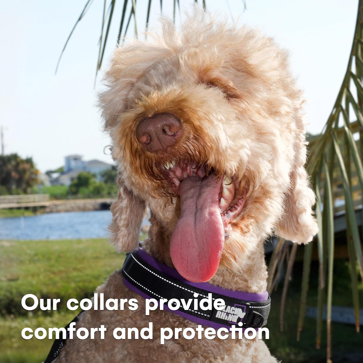 Ultra Soft Black Rhino Heavy Duty Reflective Dog Collar for Medium Breeds - Adjustable, Weatherproof & Lightweight Comfort in Stylish Purple/Black