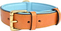 Premium Genuine Leather Dog Collar - Luxurious Padded Design, Large Brown, 24