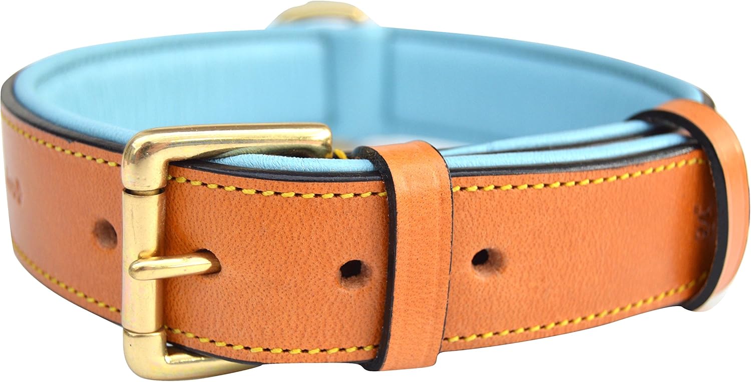 Premium Genuine Leather Dog Collar - Luxurious Padded Design, Large Brown, 24" Long X 1.5" Wide, Fits Neck Sizes 18" to 21"
