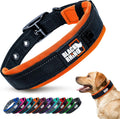 Ultra Soft Black Rhino Heavy Duty Reflective Dog Collar for Medium Breeds - Adjustable, Weatherproof & Lightweight Comfort in Stylish Purple/Black