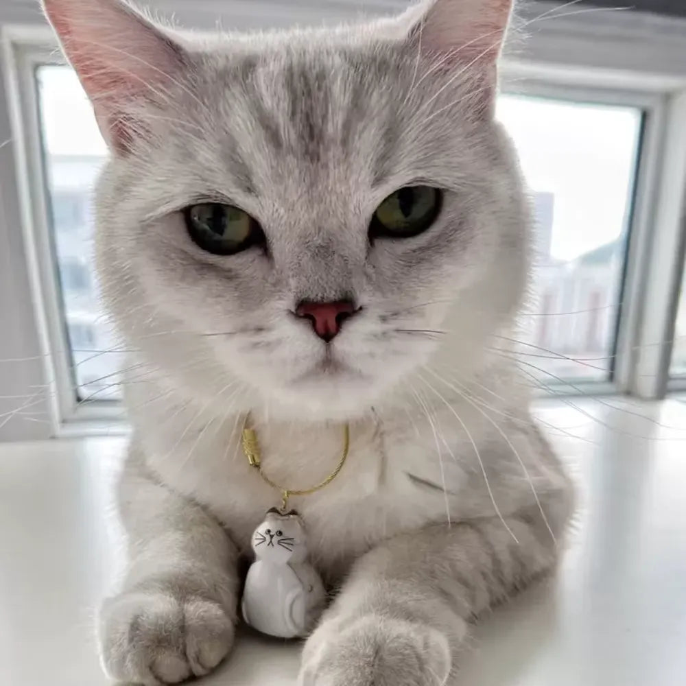 Furry Friend Keepsake Keychain – Treasure Your Catty’s Love