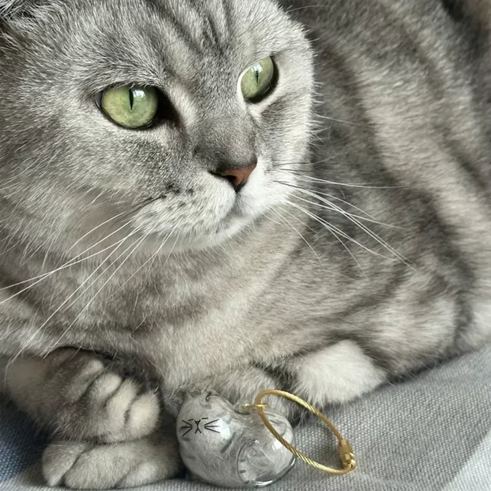 Furry Friend Keepsake Keychain – Treasure Your Catty’s Love