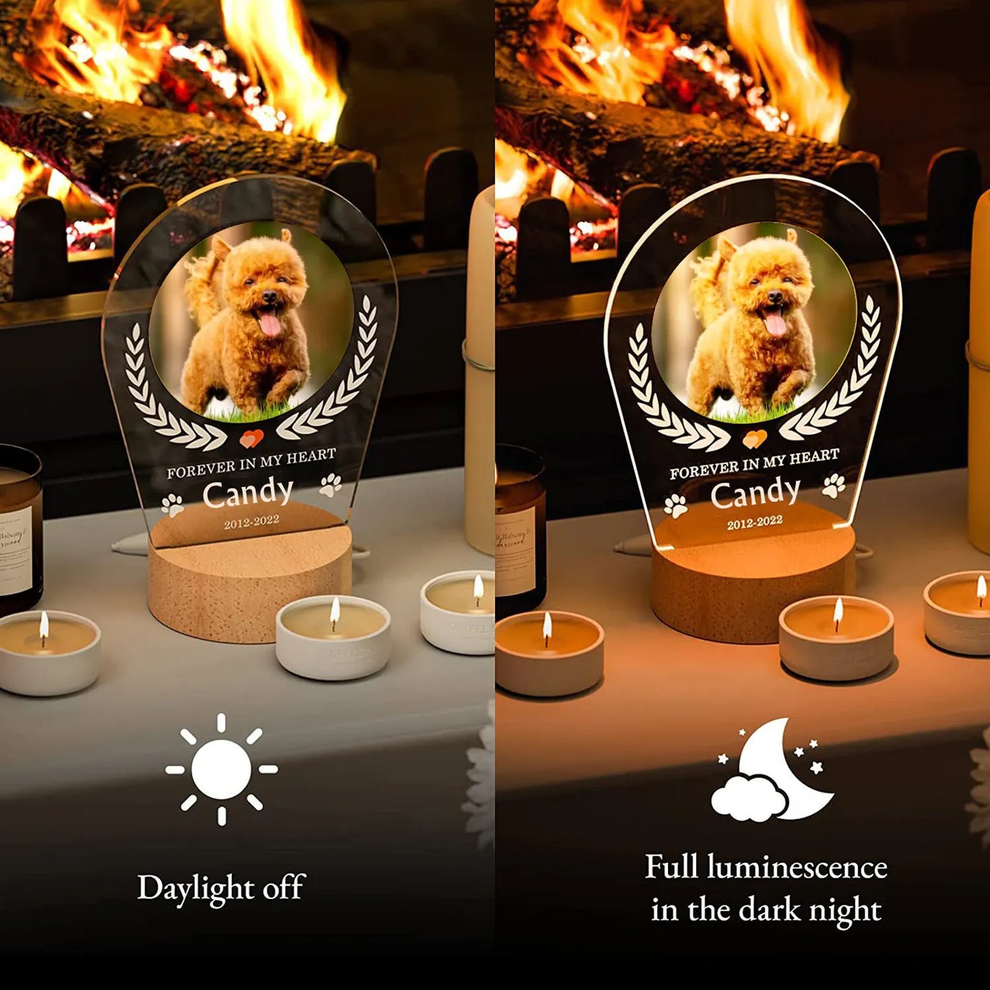 In Loving Pet Memorial Light – Custom Photo & Name LED Lamp for Dogs and Cats