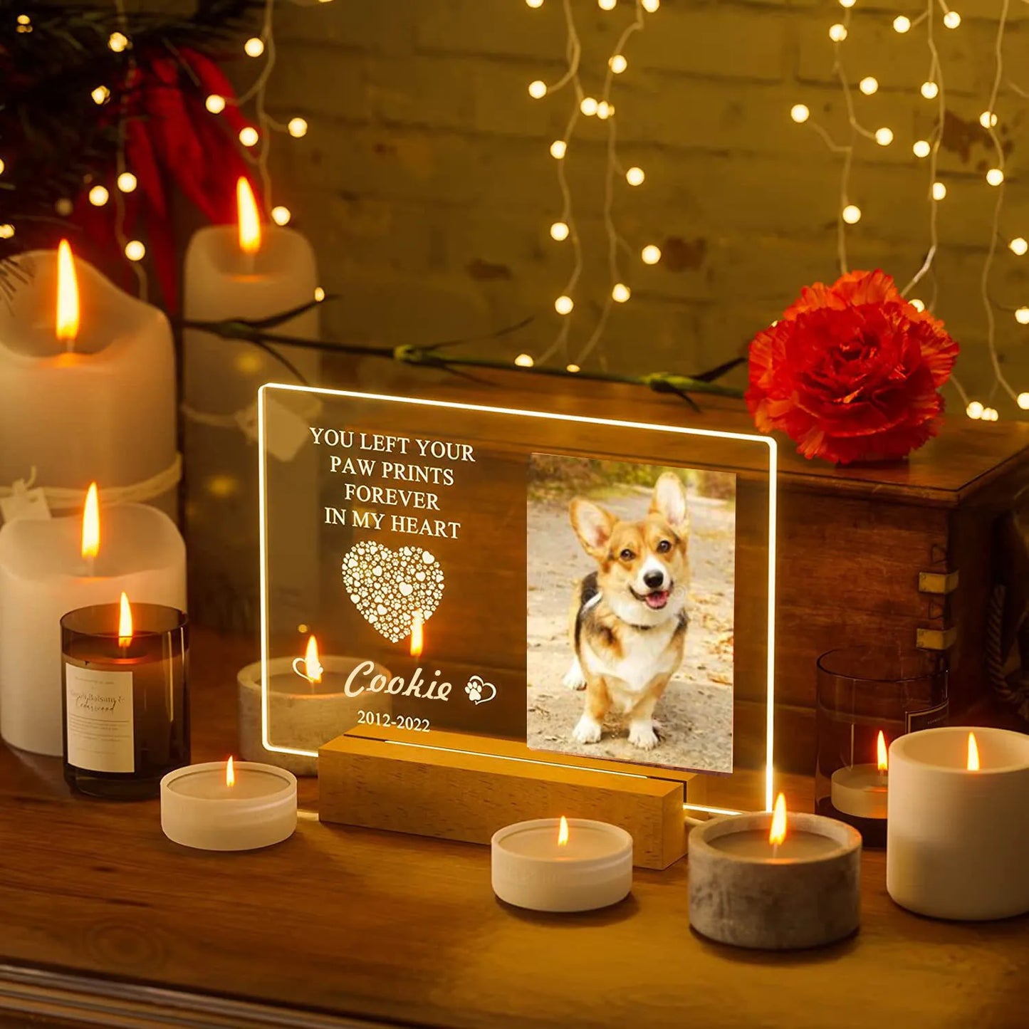 In Loving Pet Memorial Light – Custom Photo & Name LED Lamp for Dogs and Cats