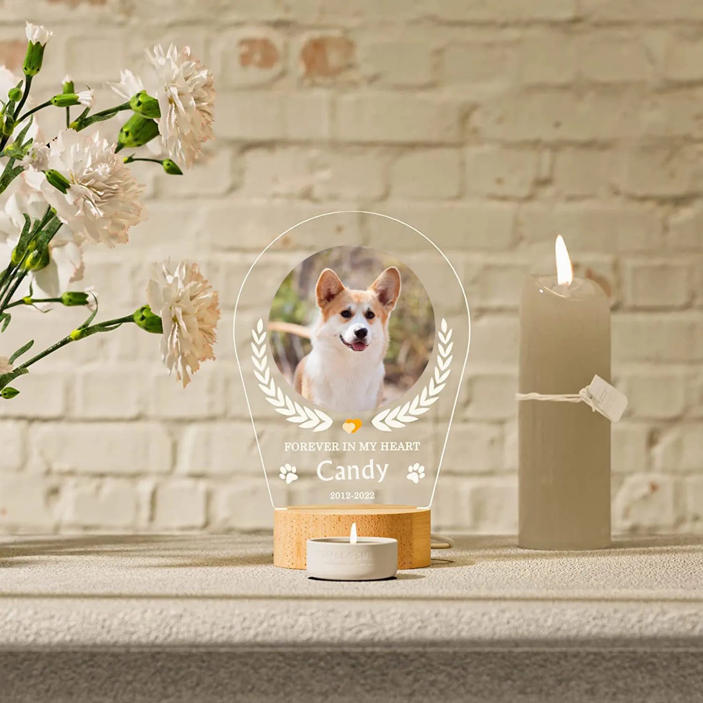 In Loving Pet Memorial Light – Custom Photo & Name LED Lamp for Dogs and Cats