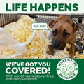 Furhaven Orthopedic Dog Bed for Small Dogs - Plush Velvet Sofa with Removable Bolsters & Washable Cover, Ideal for Pets up to 20 lbs - Celadon Green