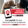 Purina Busy Bone Chewy Pork Flavor Dog Treats