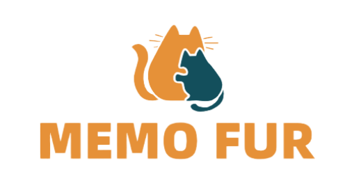 MEMO FUR